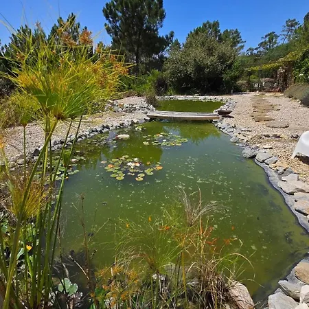 New- Design Villa- 10 Min From Beach, Pool And Great View Vila Ericeira