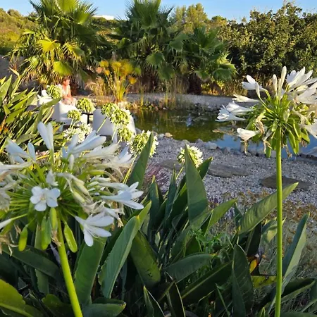 New- Design Villa- 10 Min From Beach, Pool And Great View Villa *