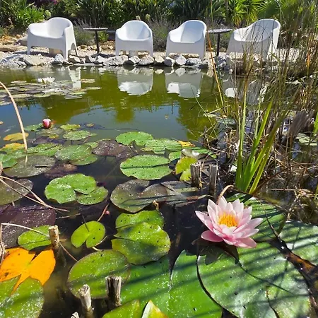 New- Design Villa- 10 Min From Beach, Pool And Great View * Ericeira